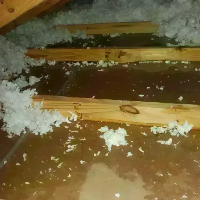 Attic Water Damage in Purcell, OK