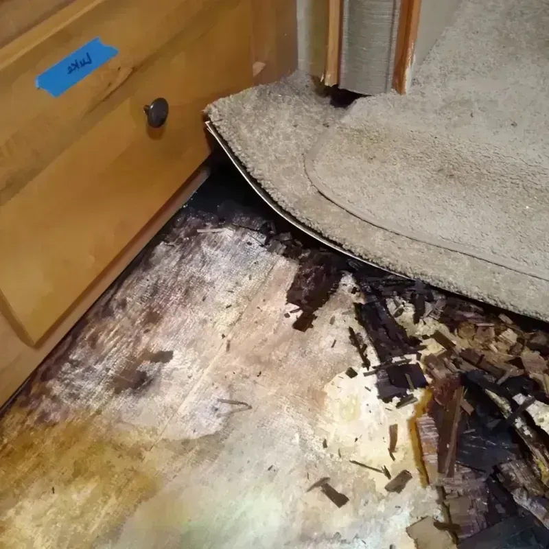 Wood Floor Water Damage in Purcell, OK